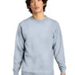 Men's Fleece Sweatshirt - DT6104 - Light Heather Grey